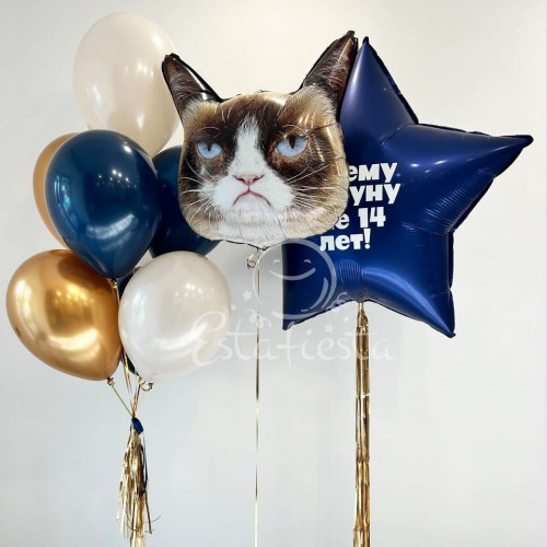 Набор шаров мальчику или мужчине на день рождения с недовольным котом