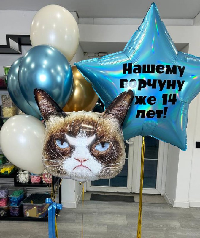 Большая фольгированная звезда с индивидуальной надписью, фольгированная фигура головы сердитого кота и фонтан из шаров