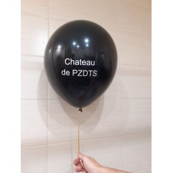 Чёрный шар с надписью "Chateau de PZDTS"