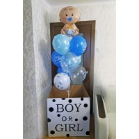 Коробка мальчик или девочка с малышом и шарами