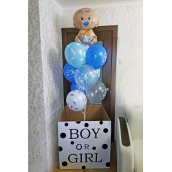 Коробка мальчик или девочка с малышом и шарами