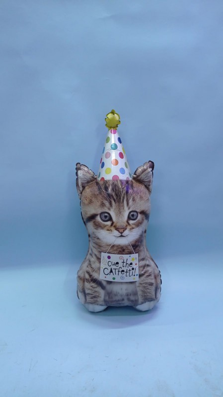 Котенок в колпаке